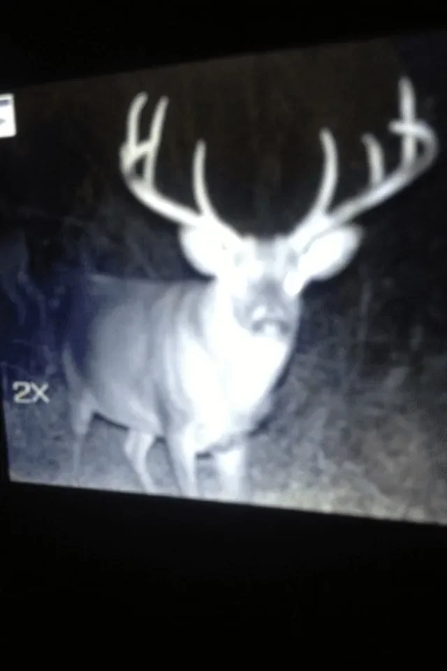 Thumbnail 22
