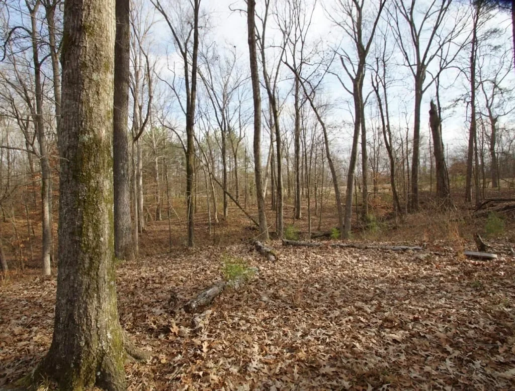 Grid image 5