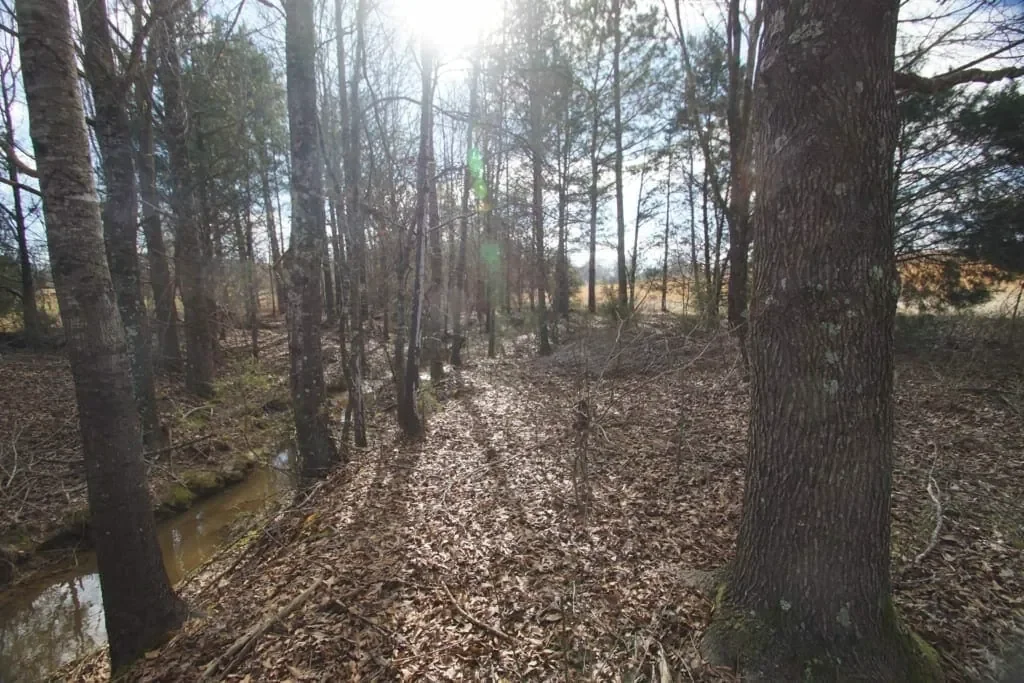 Grid image 3