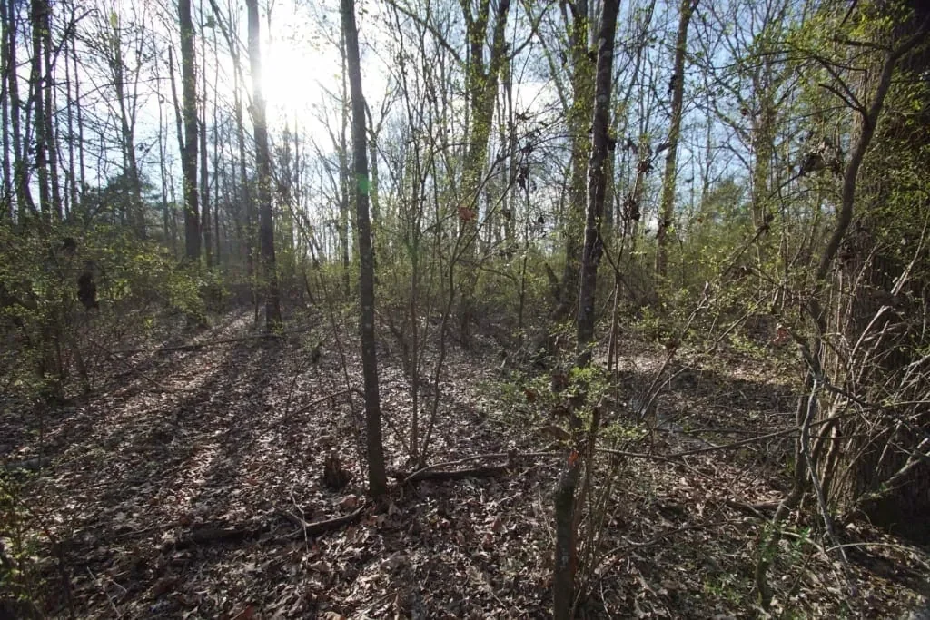 Grid image 5