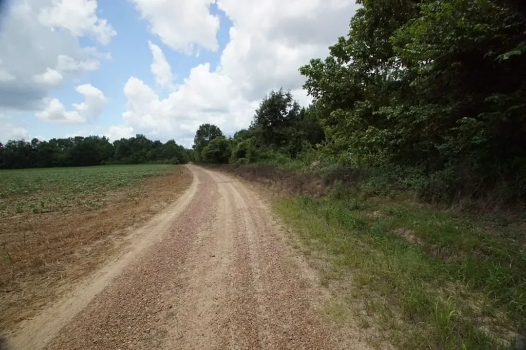 Grid image 5