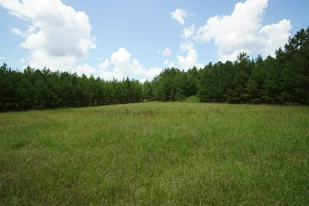 Grid image 3