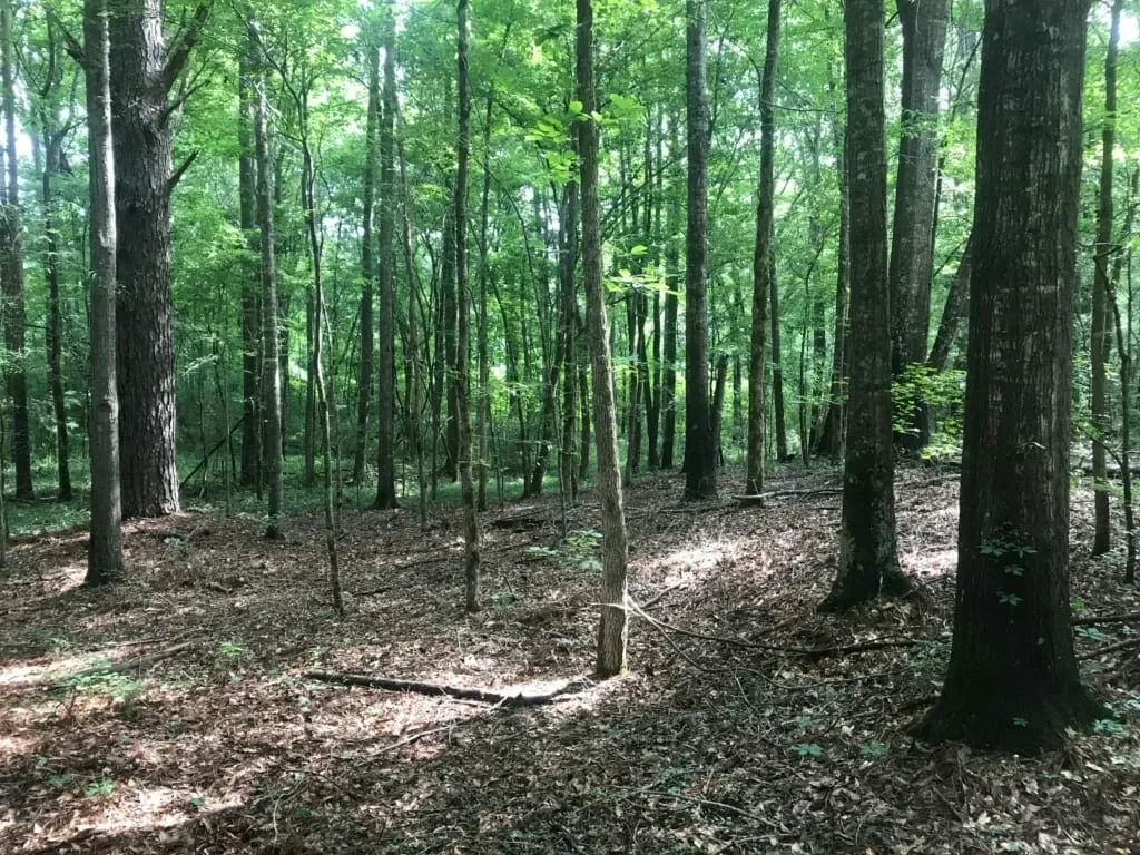 Grid image 5