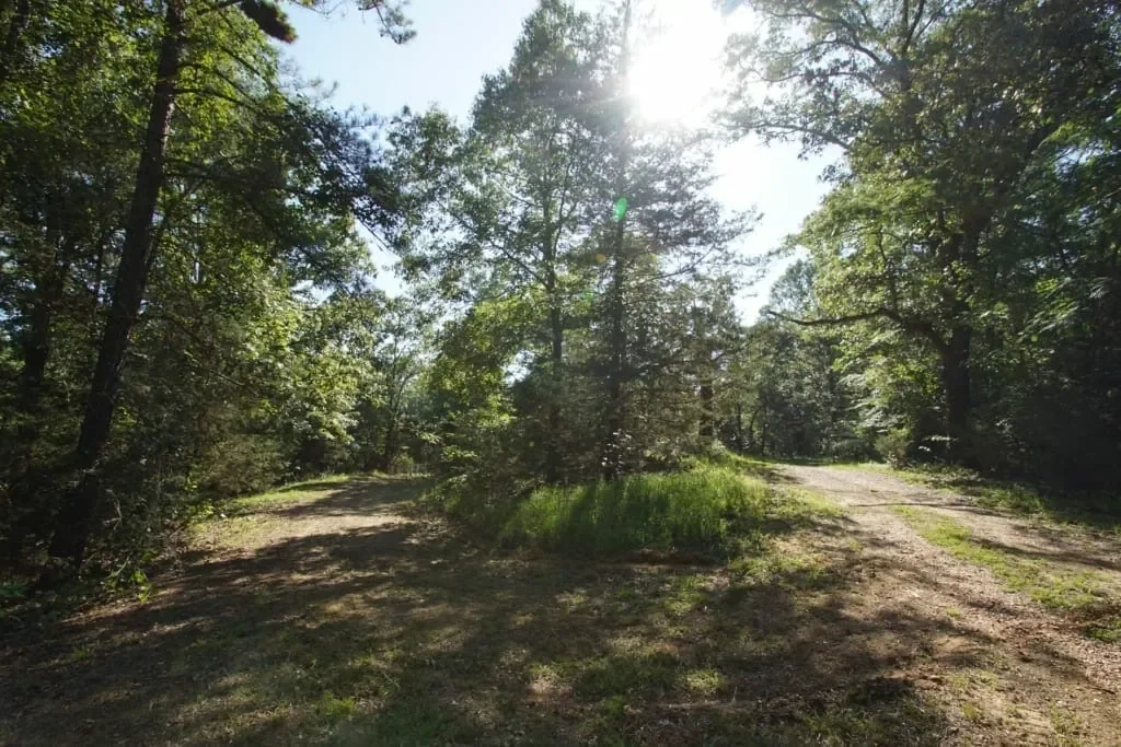 Grid image 3