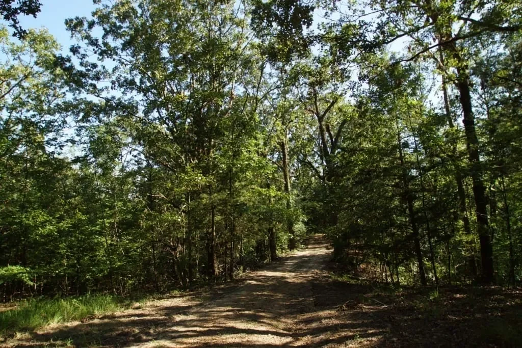 Grid image 5