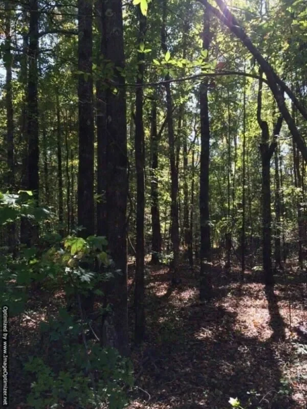 Grid image 5