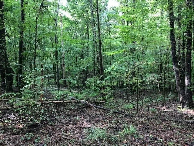 Grid image 5