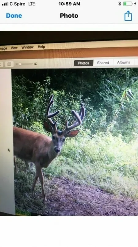 Thumbnail 17