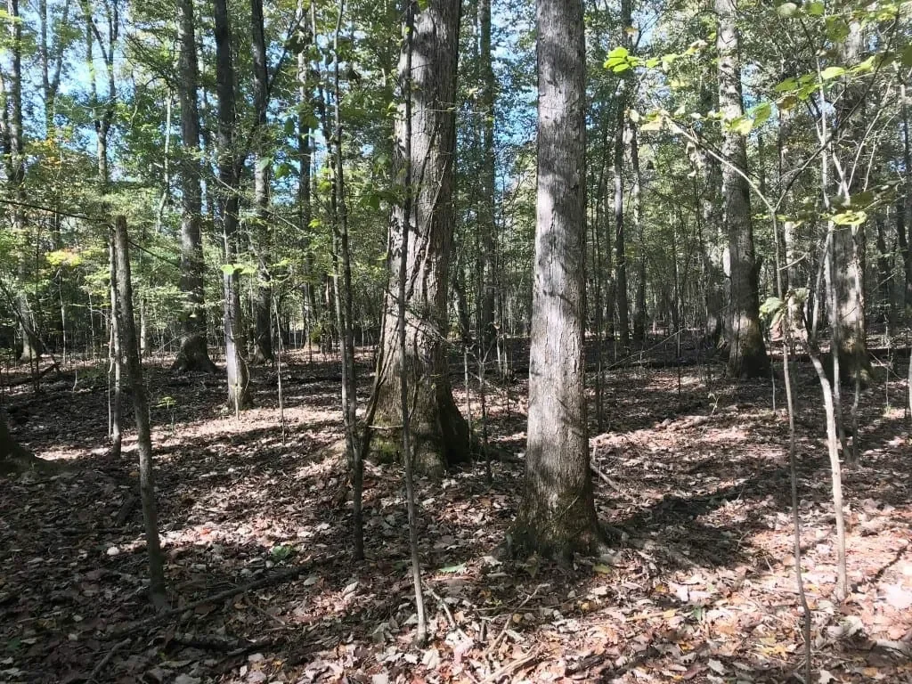 Grid image 5
