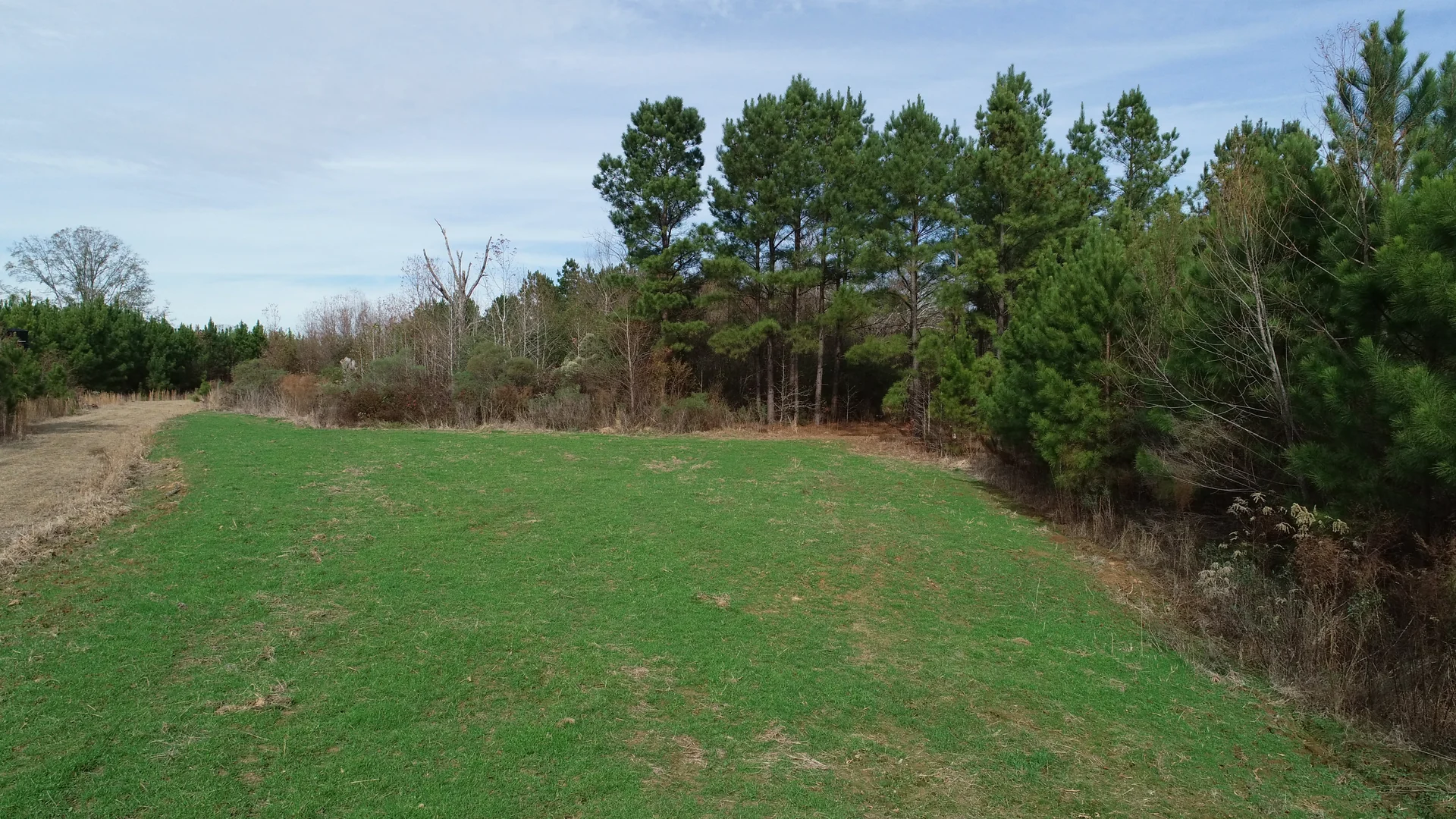 Grid image 5