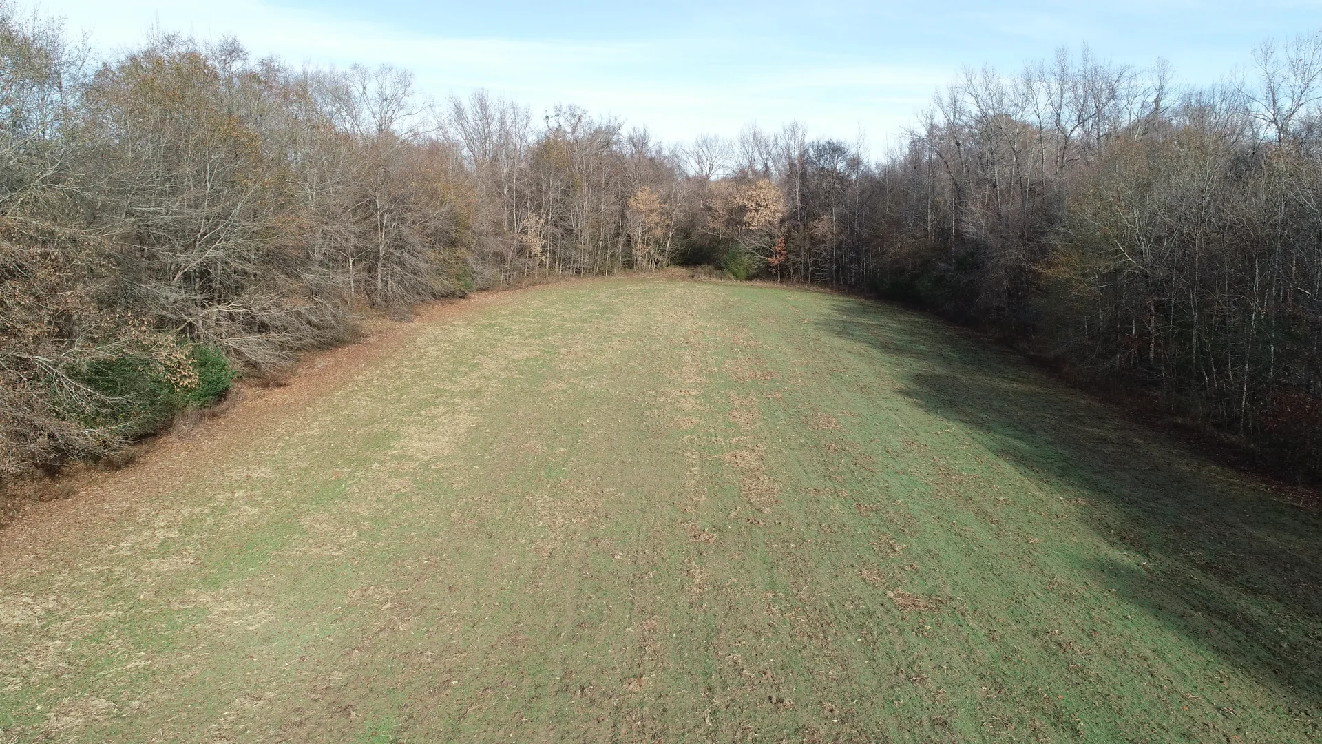Grid image 4