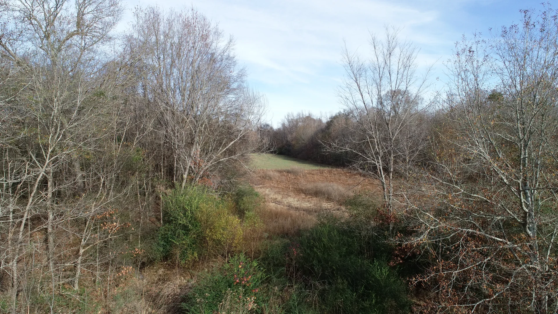Grid image 3