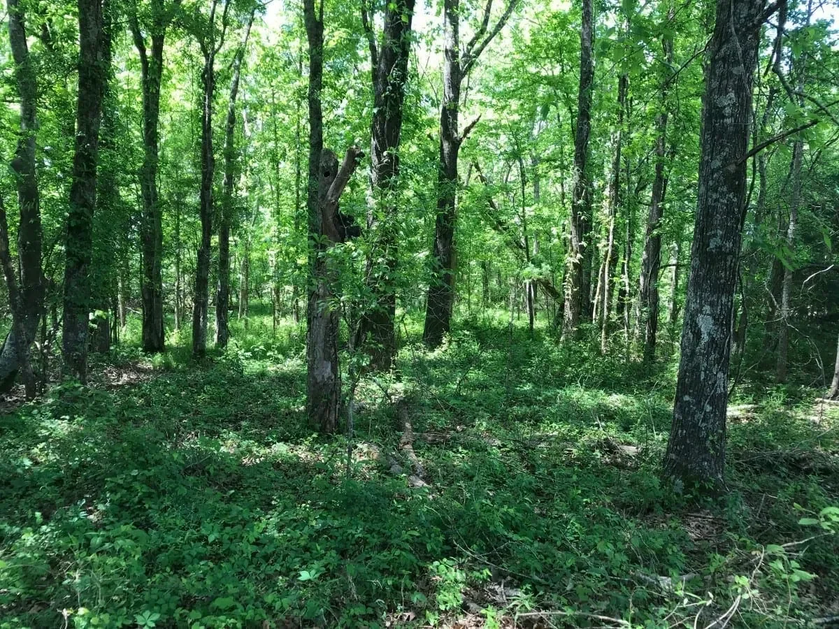 Grid image 5