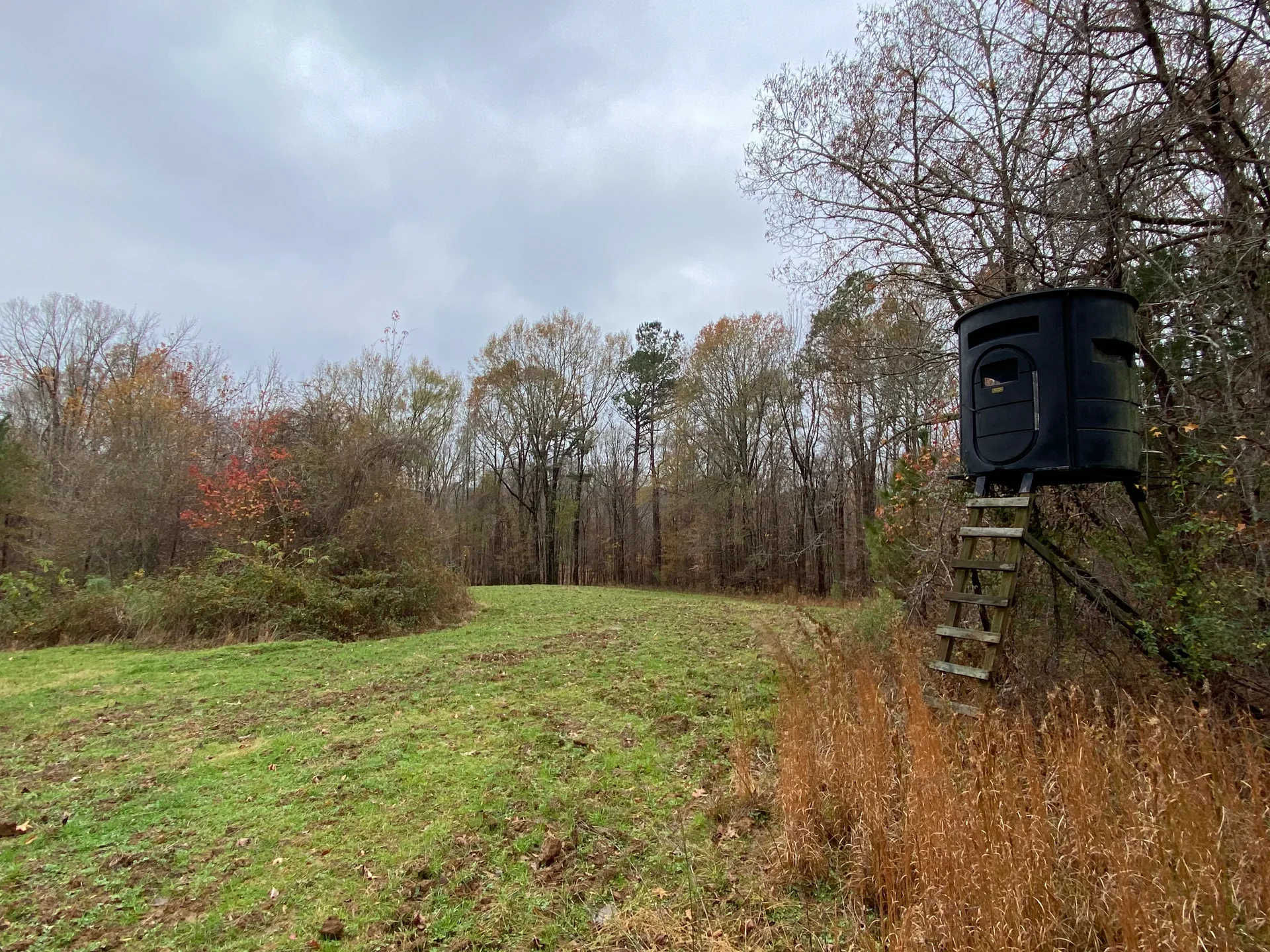 Listing image 1