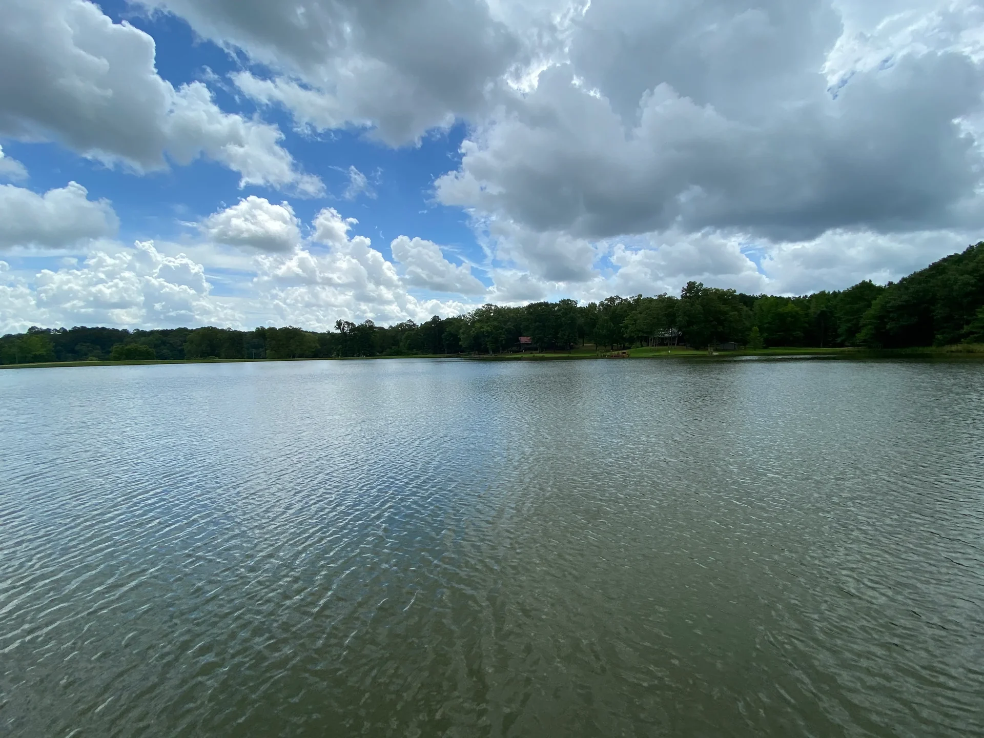Grid image 4