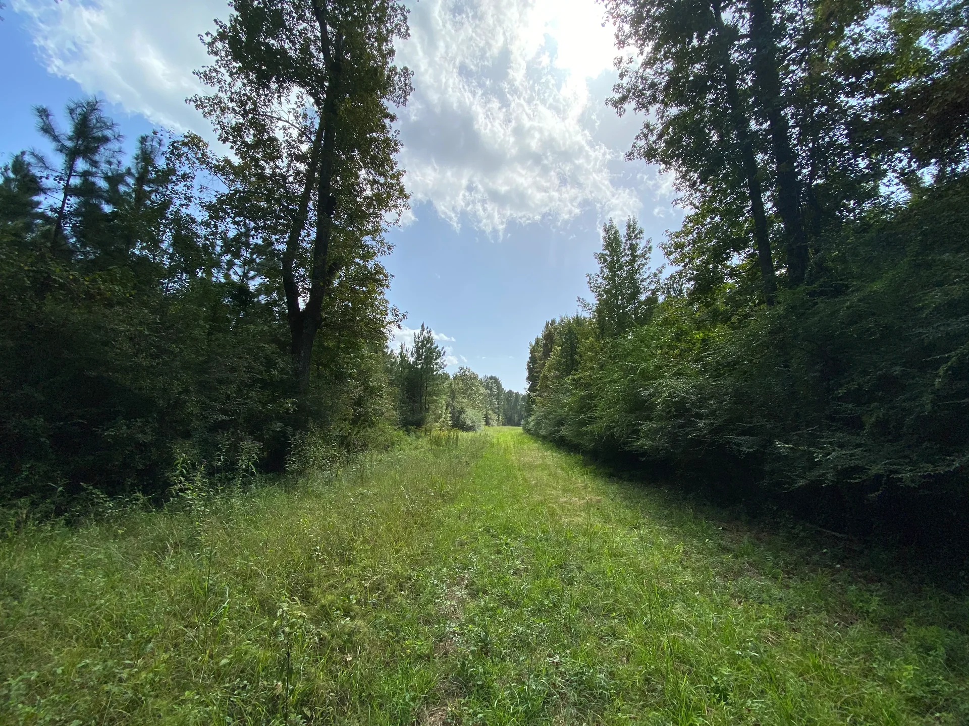 Grid image 5