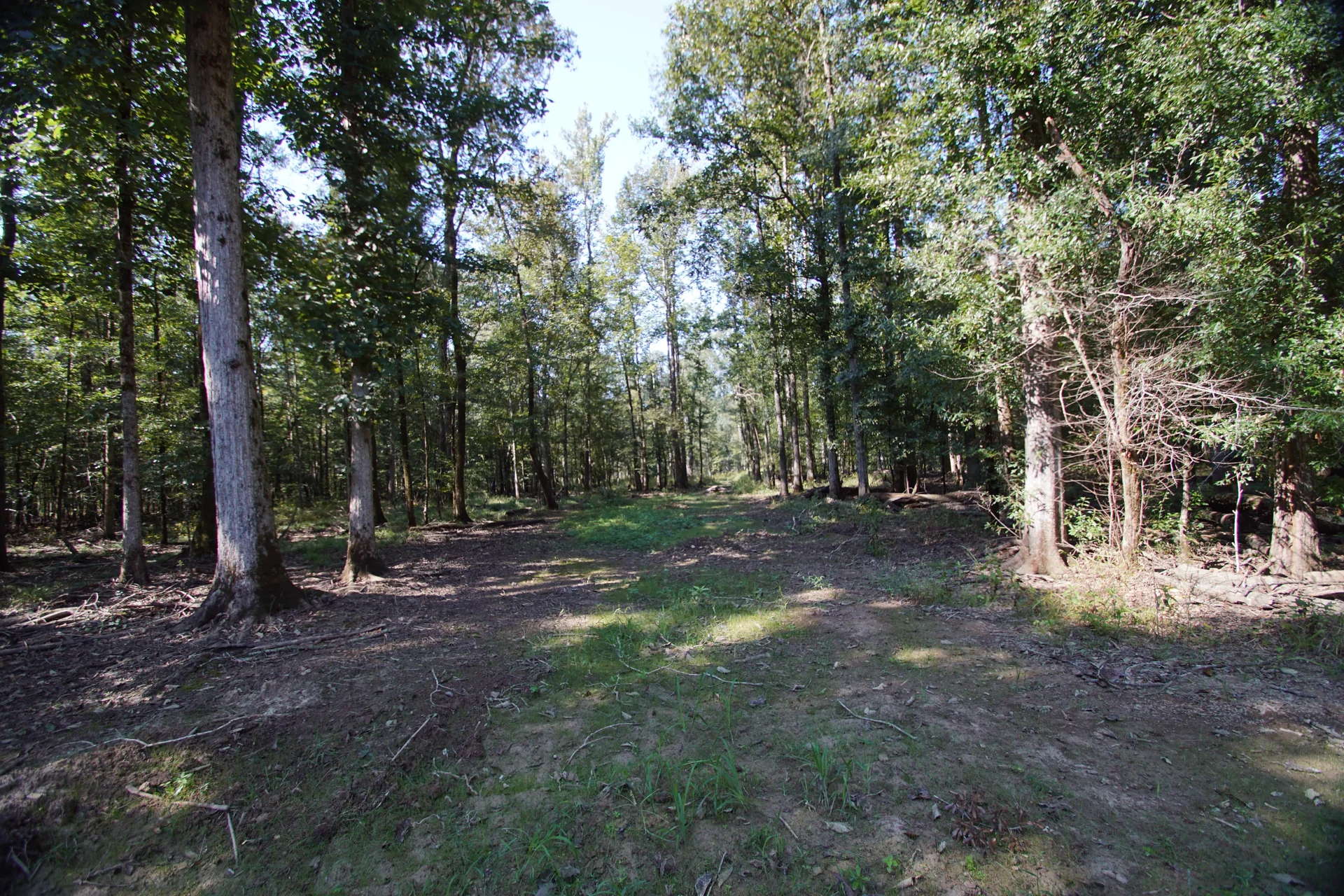 Grid image 5