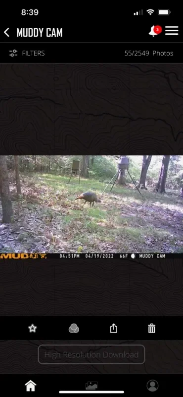 Thumbnail 18
