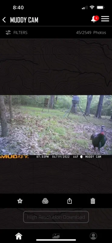 Thumbnail 19