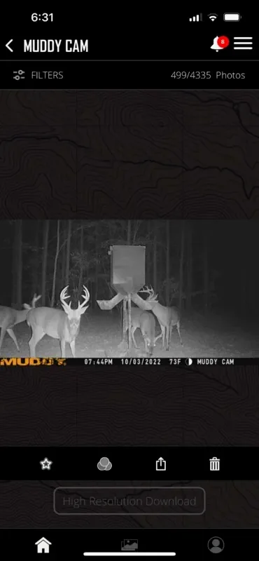 Thumbnail 29