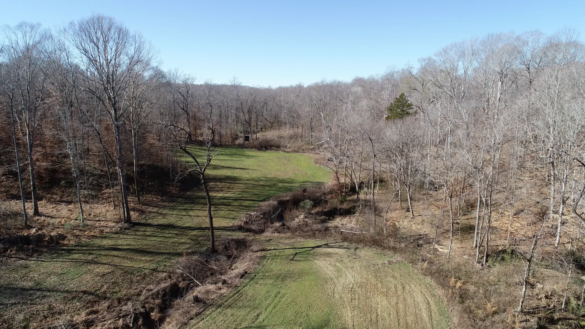 Listing image 1