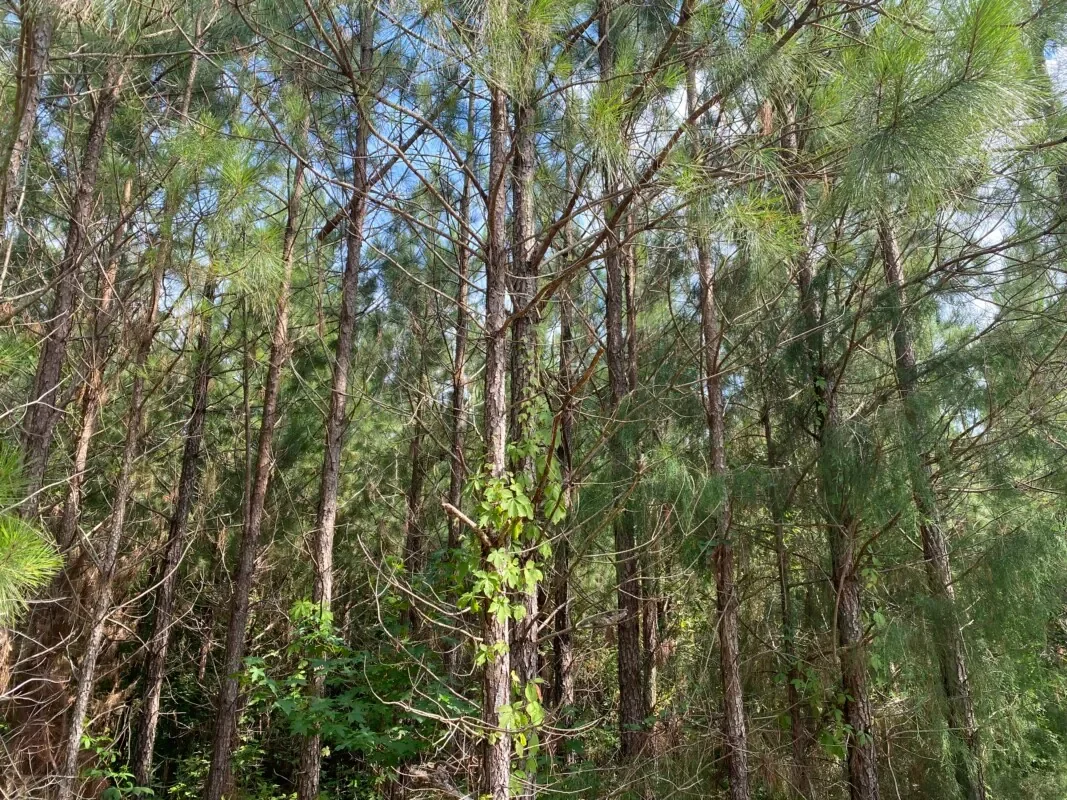 Grid image 3