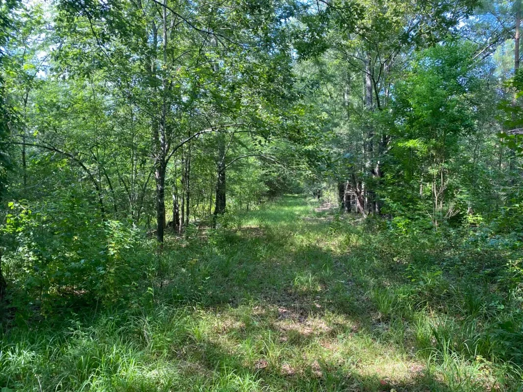 Grid image 4