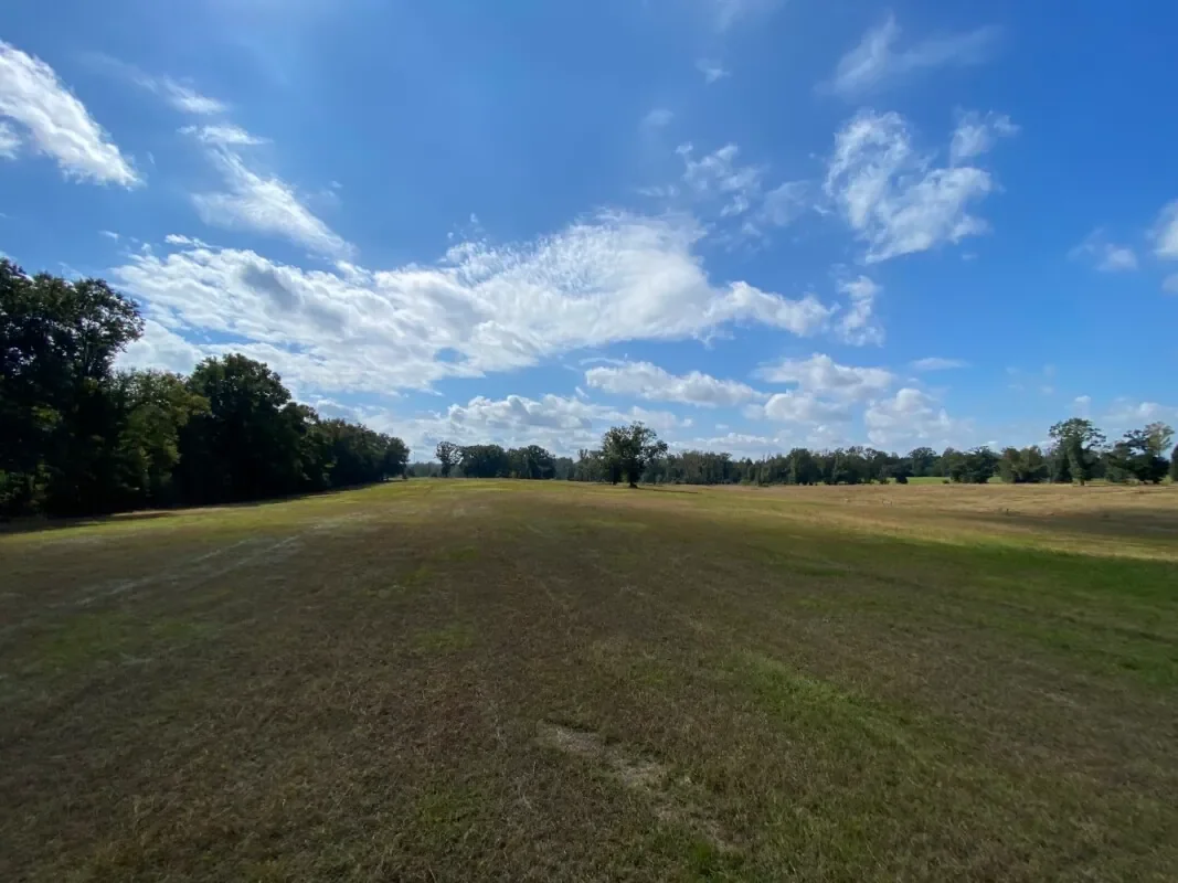Grid image 2
