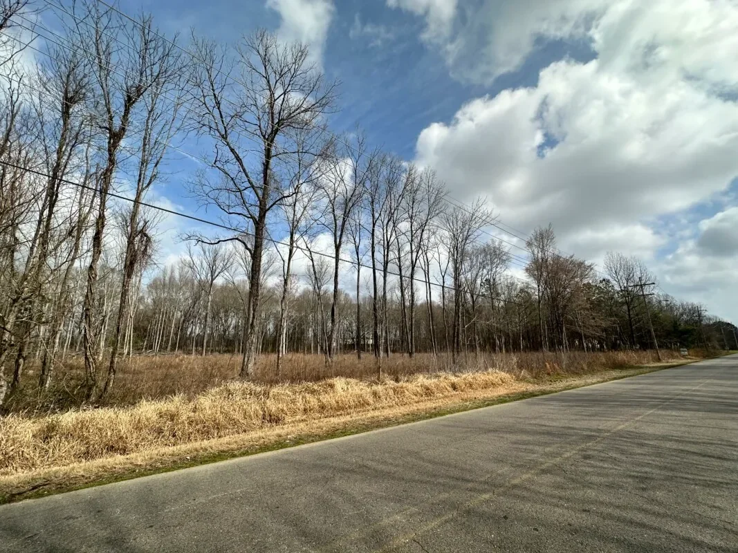 Grid image 4
