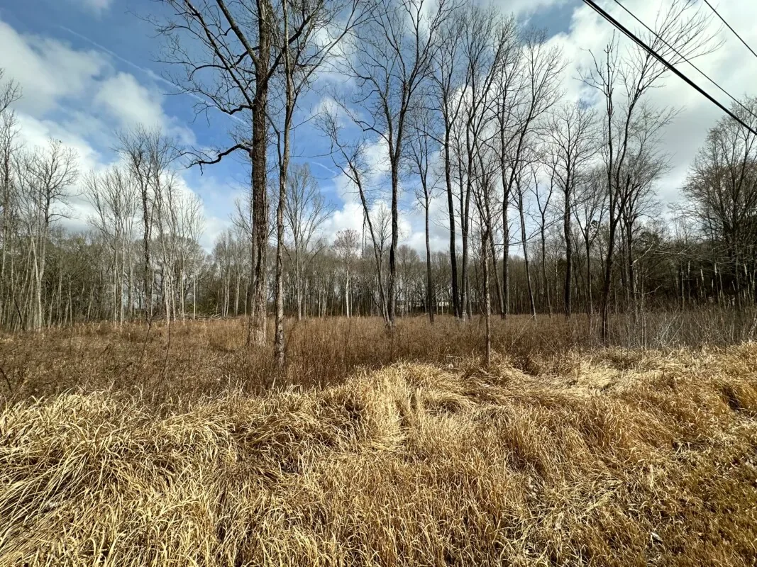 Grid image 3