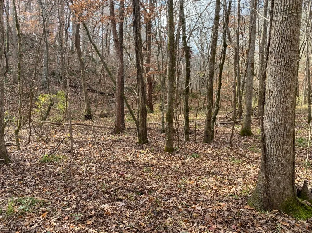 Grid image 4