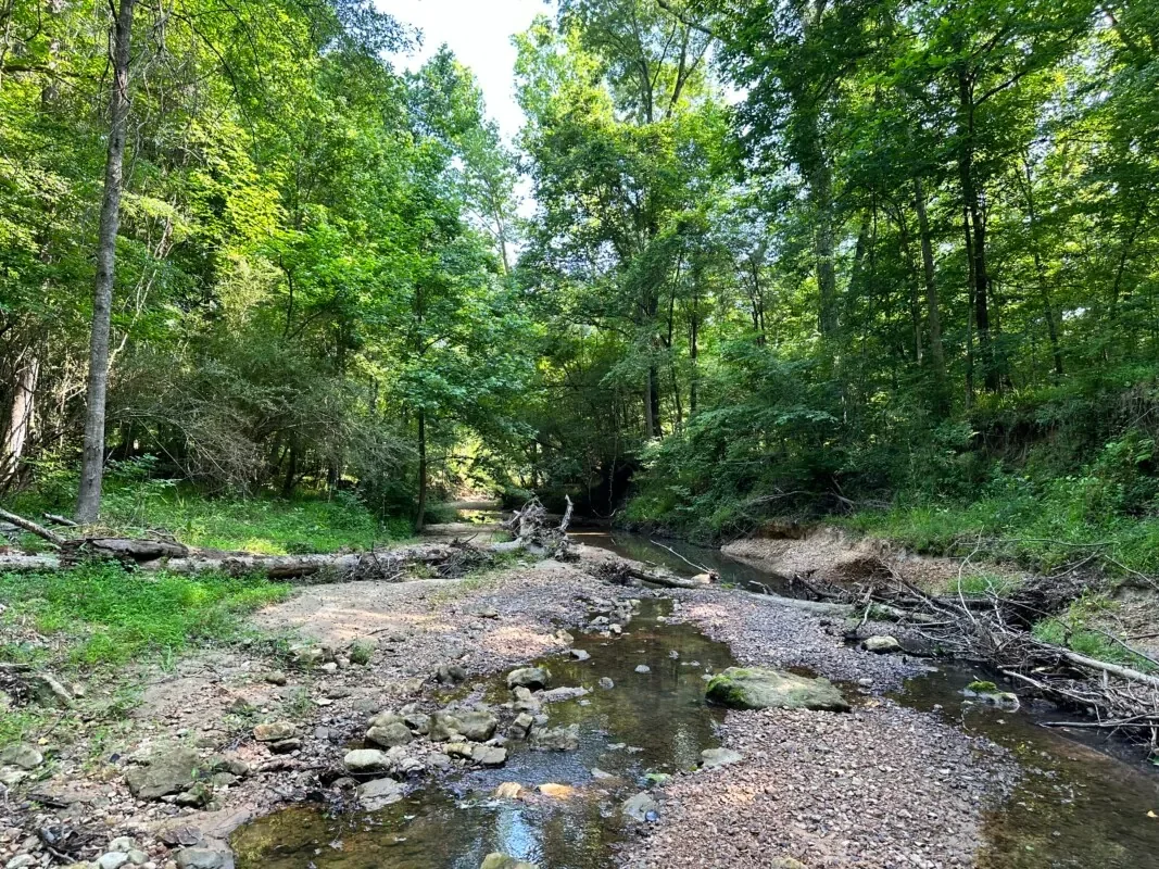 Grid image 5