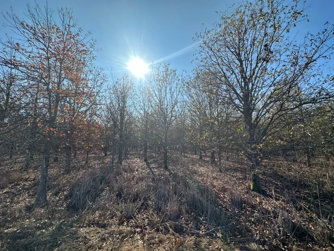 Grid image 2