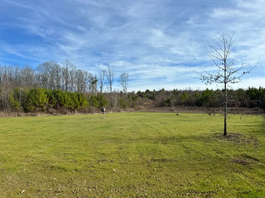 Grid image 4