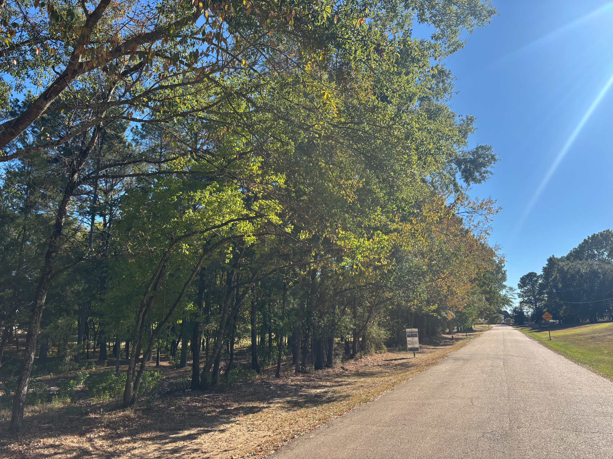 5.22 Acres on Rolling Meadows Road, photo 5 - DeLong & Barksdale Realty