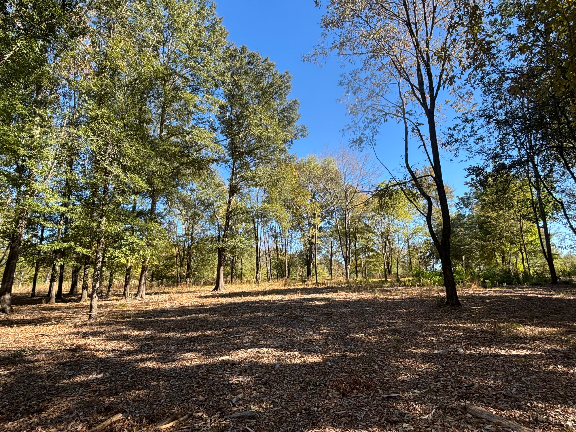 5.22 Acres on Rolling Meadows Road - DeLong & Barksdale Realty