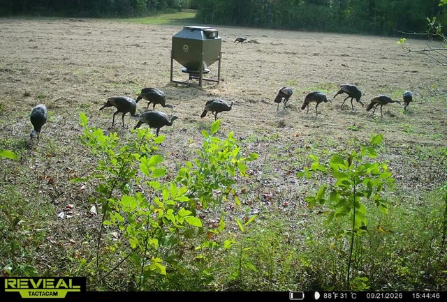 200 +/- Acres, Madison County, photo 66 - DeLong & Barksdale Realty