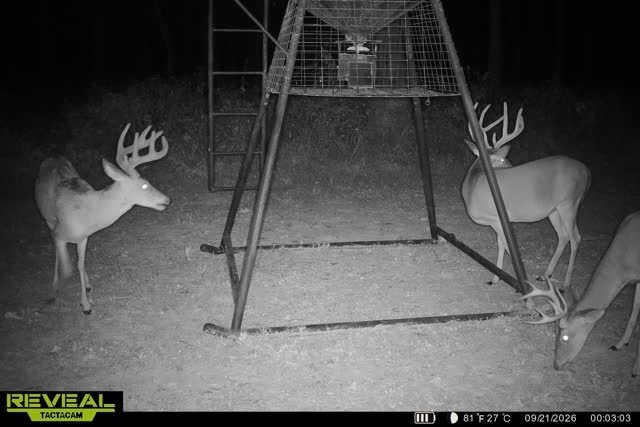 200 +/- Acres, Madison County, photo 60 - DeLong & Barksdale Realty