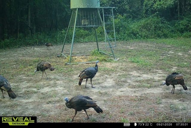 200 +/- Acres, Madison County, photo 44 - DeLong & Barksdale Realty