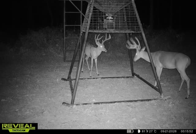 200 +/- Acres, Madison County, photo 47 - DeLong & Barksdale Realty