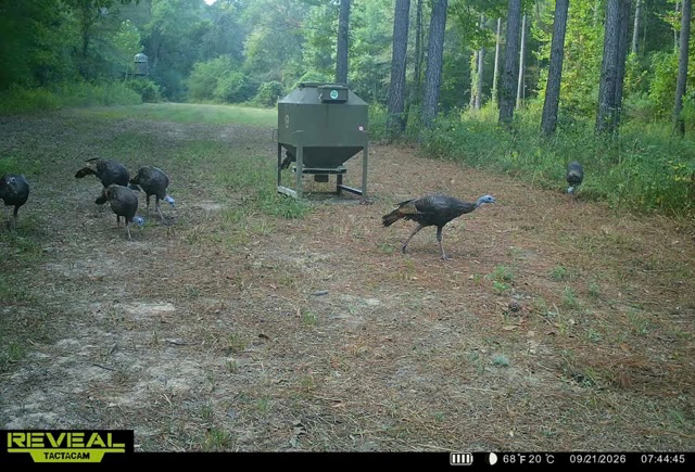 200 +/- Acres, Madison County, photo 78 - DeLong & Barksdale Realty