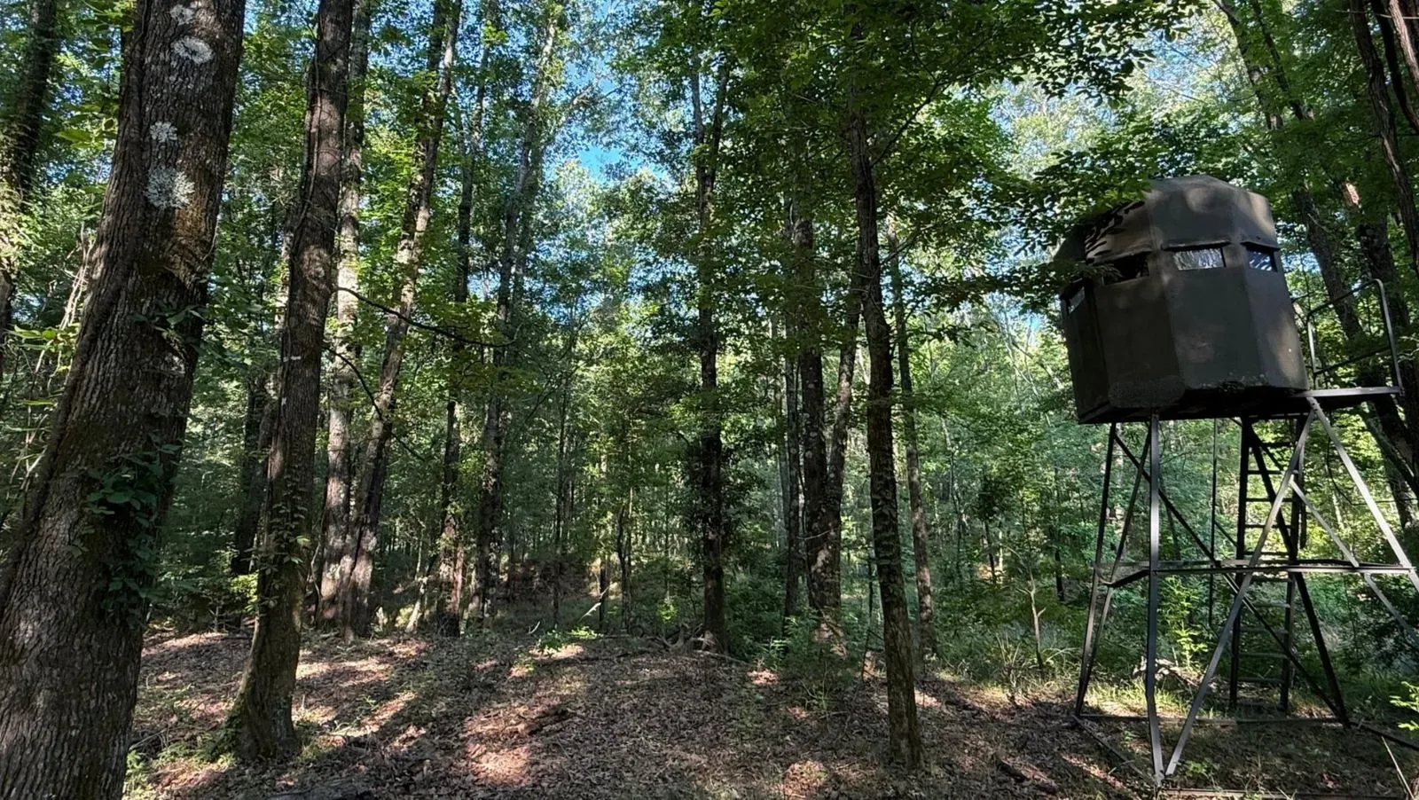 200 +/- Acres, Madison County, photo 86 - DeLong & Barksdale Realty