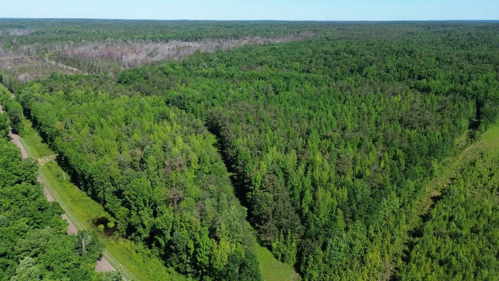 112 +/- Acres, Holmes County, photo 6 - DeLong & Barksdale Realty