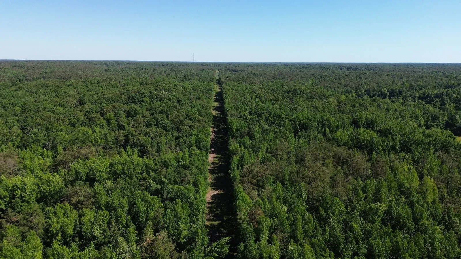112 +/- Acres, Holmes County, photo 8 - DeLong & Barksdale Realty