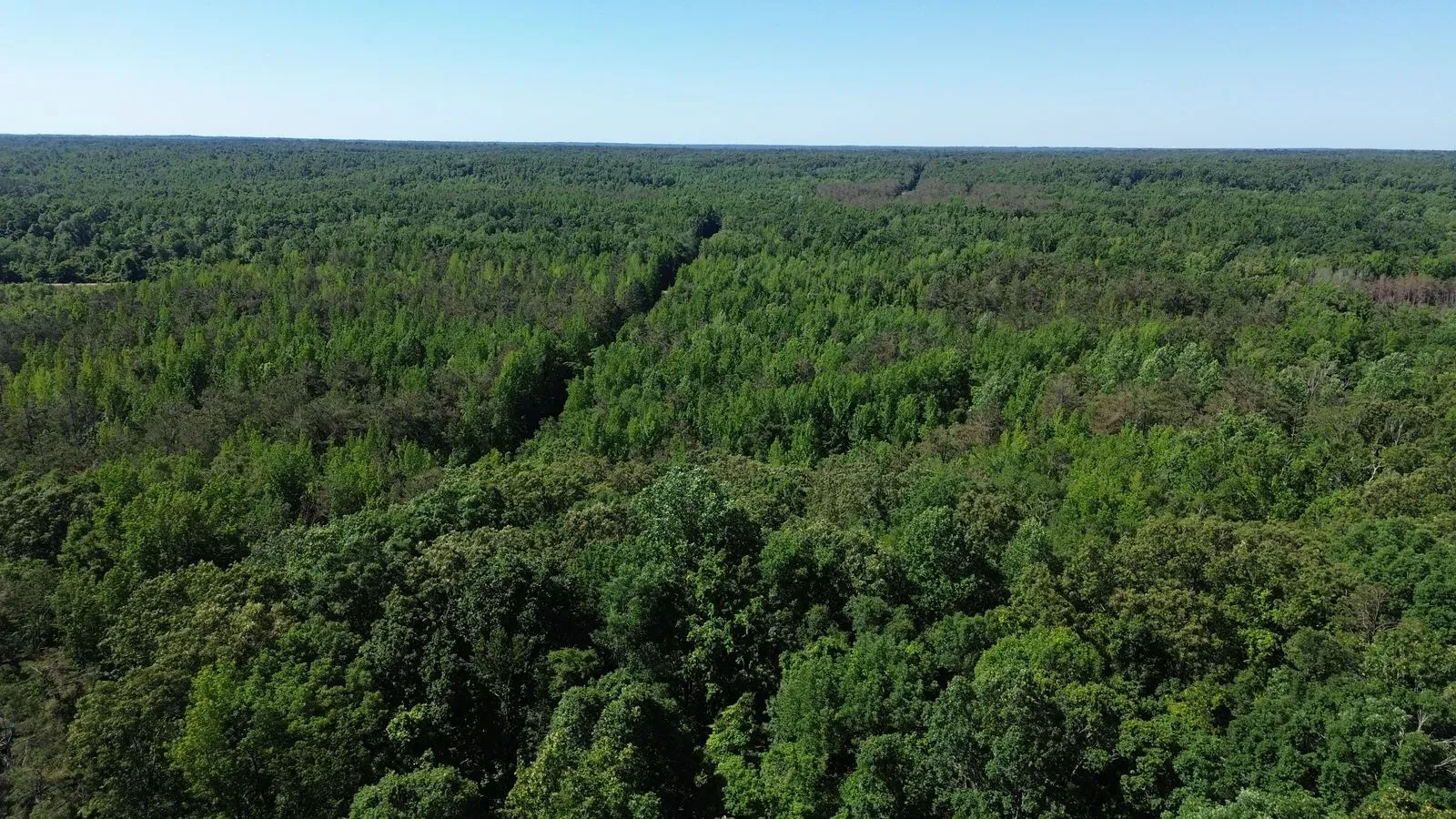 112 +/- Acres, Holmes County, photo 9 - DeLong & Barksdale Realty