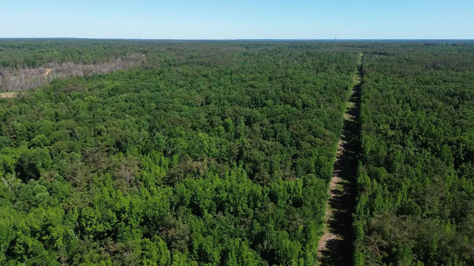 112 +/- Acres, Holmes County, photo 11 - DeLong & Barksdale Realty