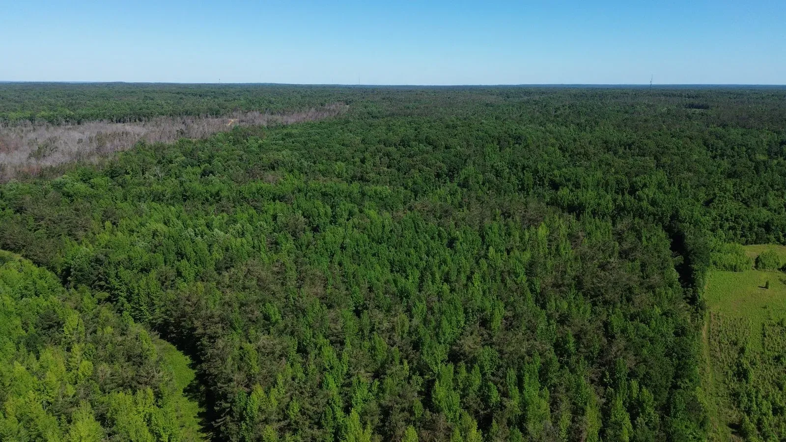 112 +/- Acres, Holmes County, photo 7 - DeLong & Barksdale Realty