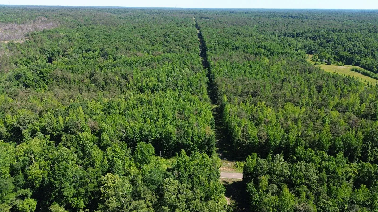 112 +/- Acres, Holmes County - DeLong & Barksdale Realty