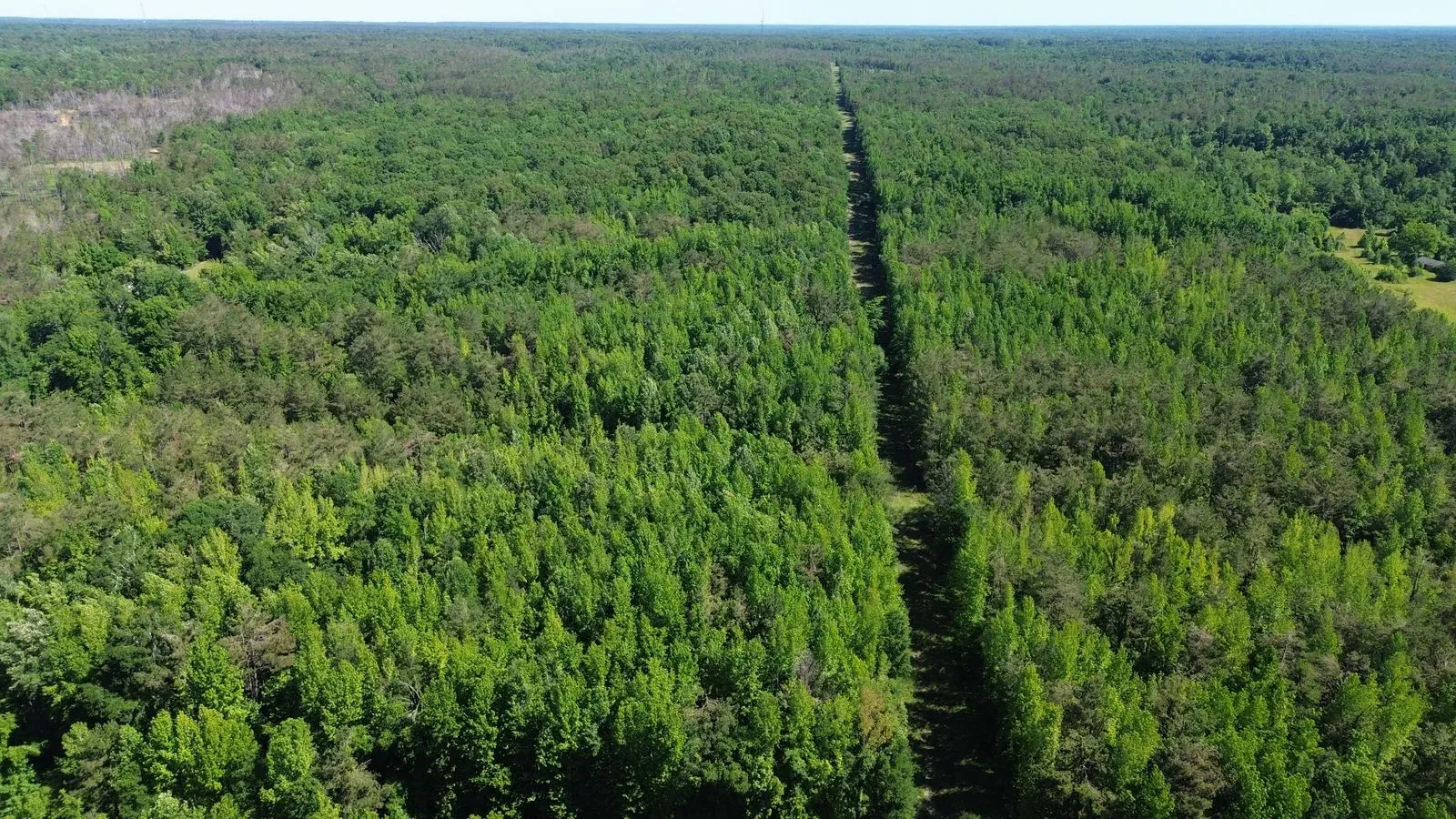 112 +/- Acres, Holmes County, photo 2 - DeLong & Barksdale Realty