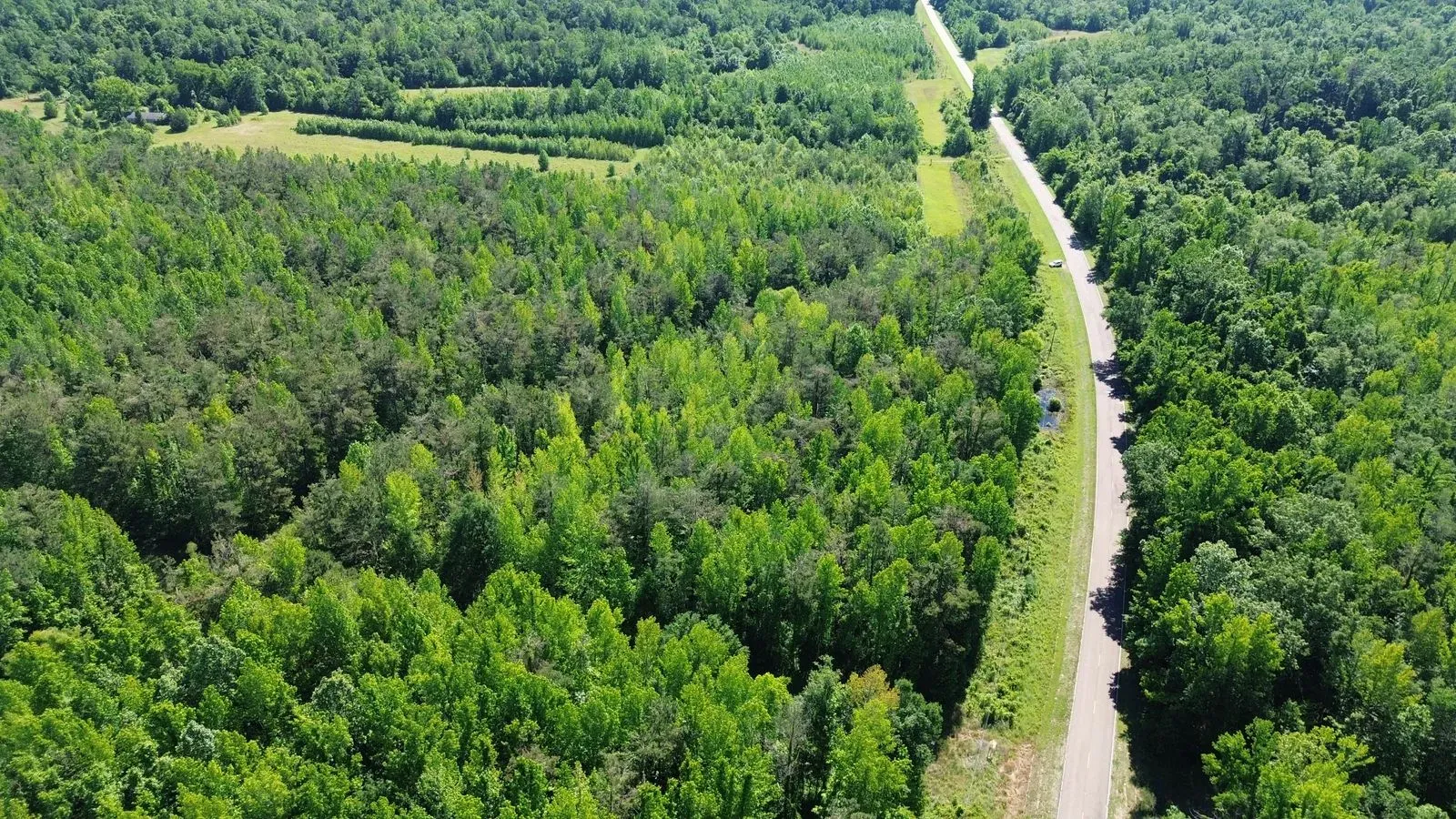 112 +/- Acres, Holmes County, photo 4 - DeLong & Barksdale Realty